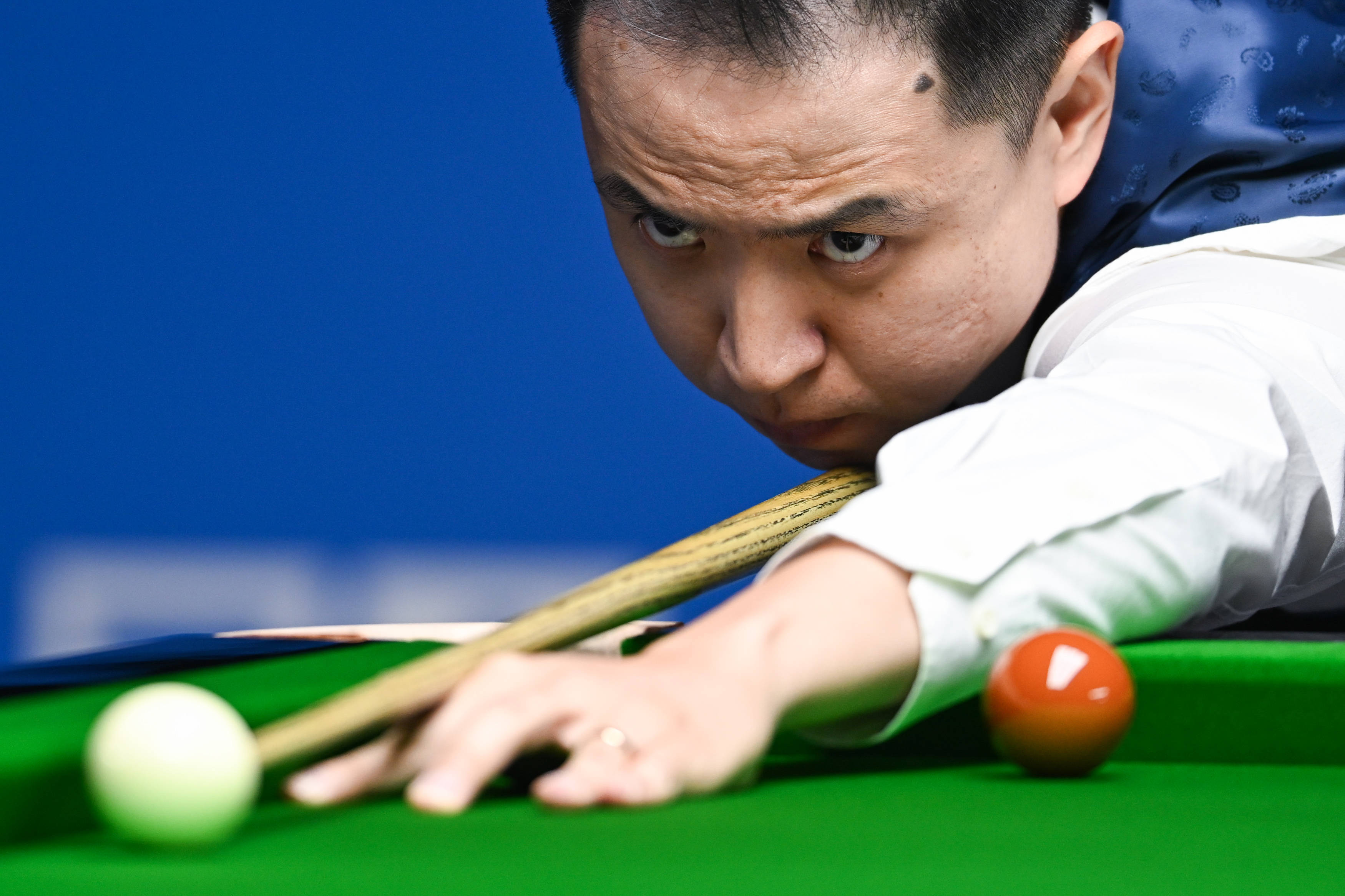 为老鹰赛季 为老鹰赛季