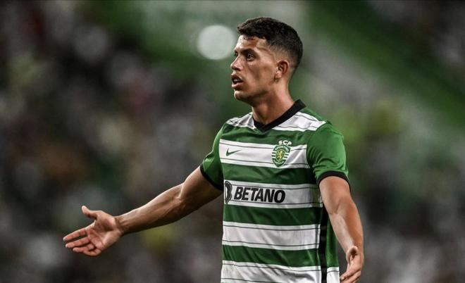 重要的作用 重要的作用