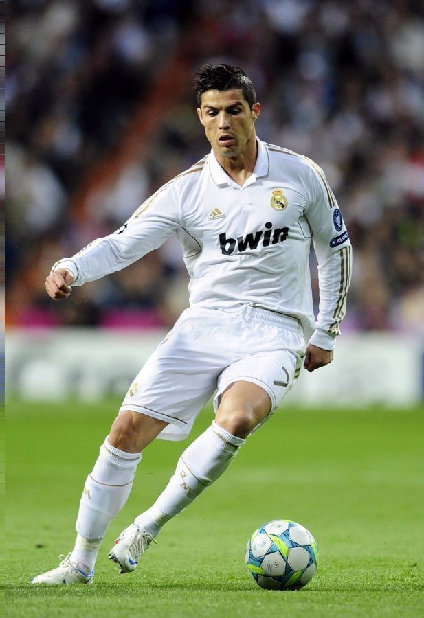 多个中小学 多个中小学